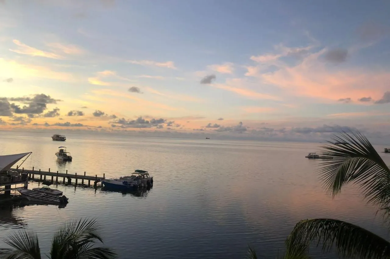 Apartamento En Torres Del Sun Rise San Andres Islas Colombia